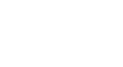 logo Pronatur